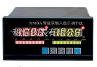 智能雙輸入顯示調節儀